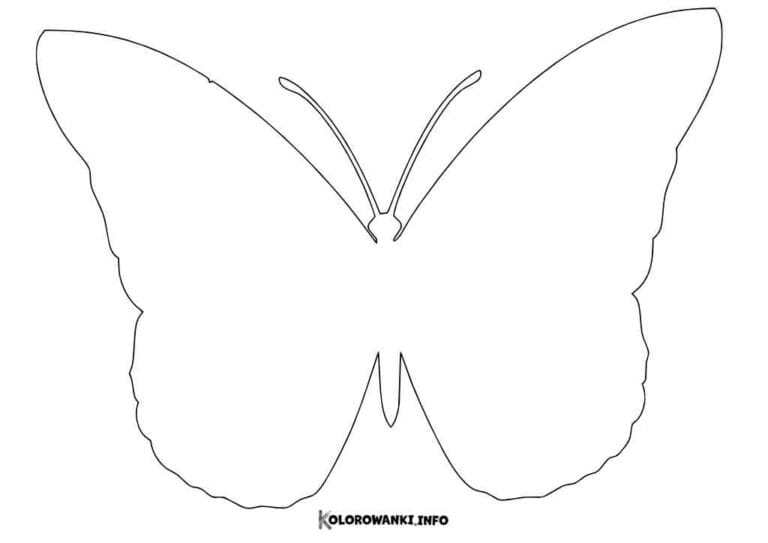 Motyle Do Druku Kolorowanki Info