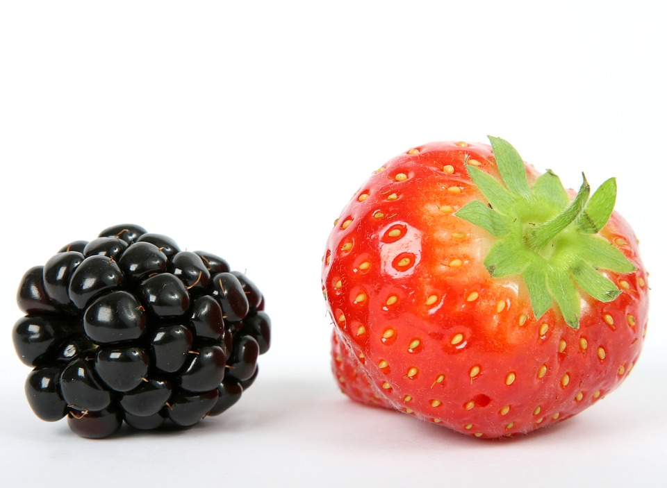Berry 1239104 960 720