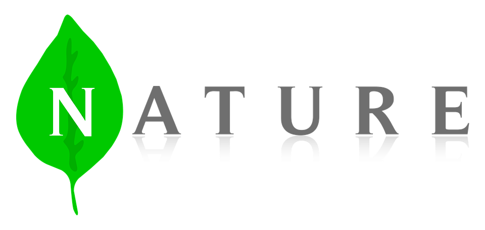 Nature 1357928 960 720