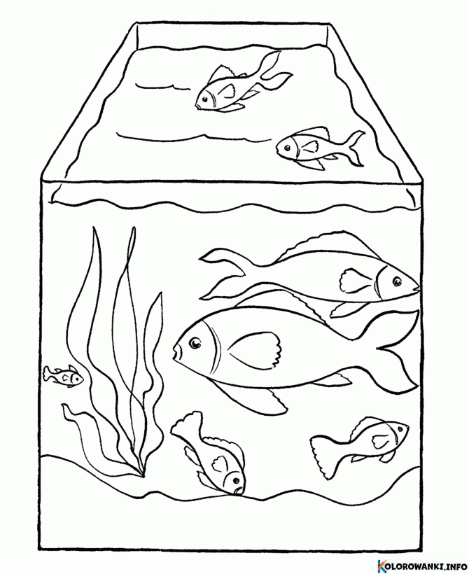 KOLOROWANKI AKWARIUM DO DRUKU - Kolorowanki.info