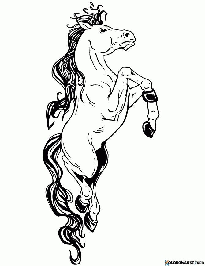 1683881023 509 Kolorowanki Fantazy do druku Pobierz lub wydrukuj za darmo