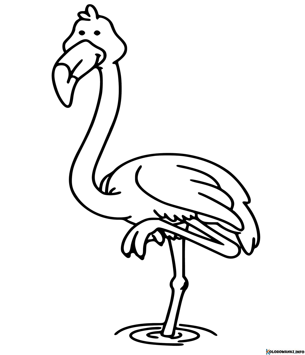 1683881888 301 Kolorowanki Flamingi do druku Pobierz lub wydrukuj za darmo