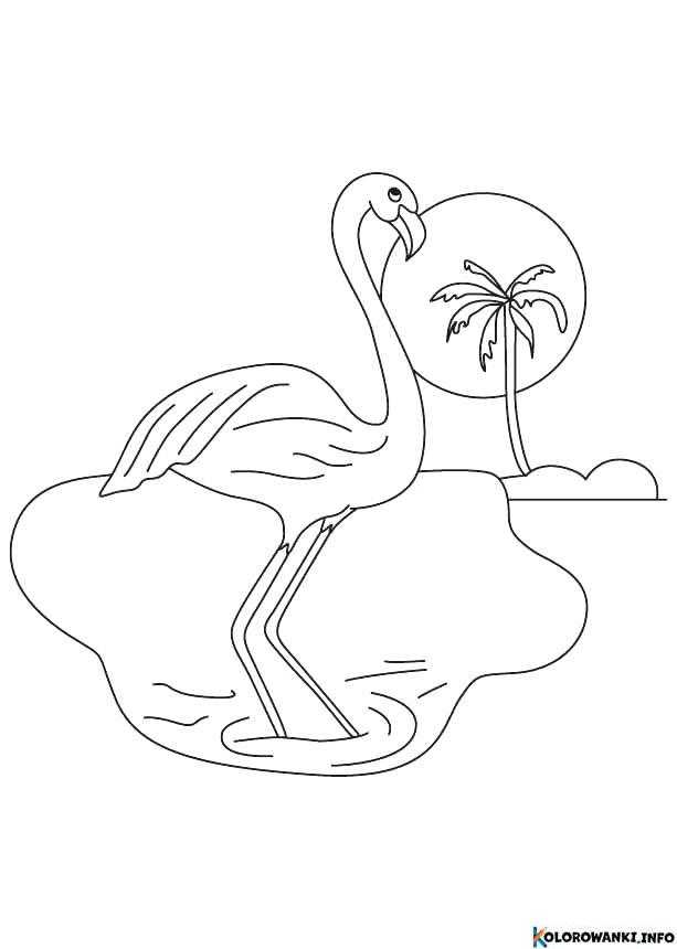 1683881888 322 Kolorowanki Flamingi do druku Pobierz lub wydrukuj za darmo