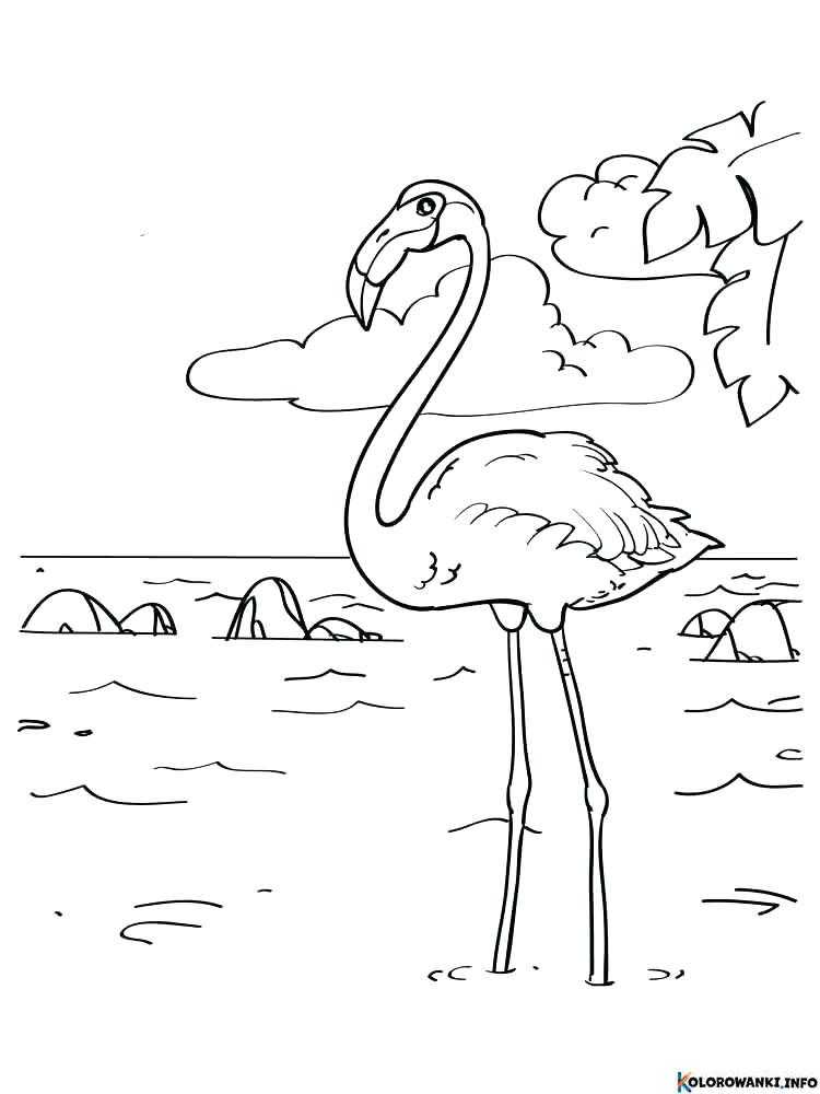 1683881888 324 Kolorowanki Flamingi do druku Pobierz lub wydrukuj za darmo