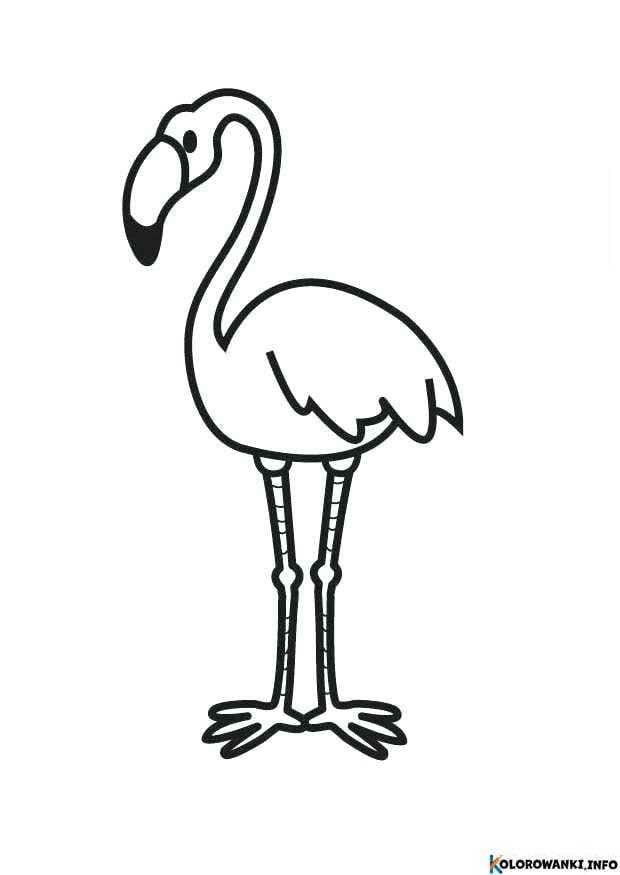 1683881888 343 Kolorowanki Flamingi do druku Pobierz lub wydrukuj za darmo