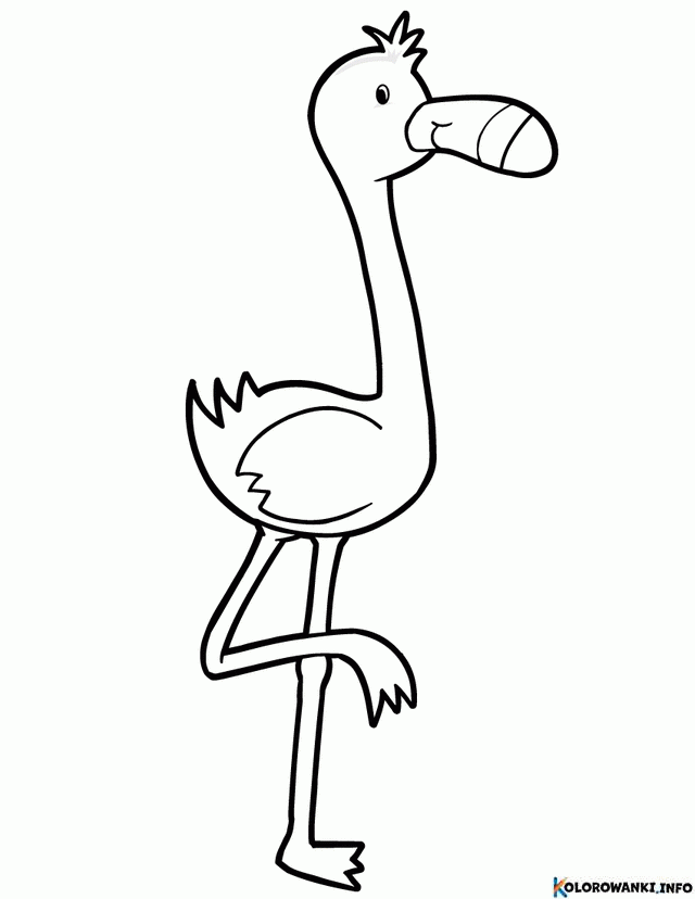 1683881888 369 Kolorowanki Flamingi do druku Pobierz lub wydrukuj za darmo