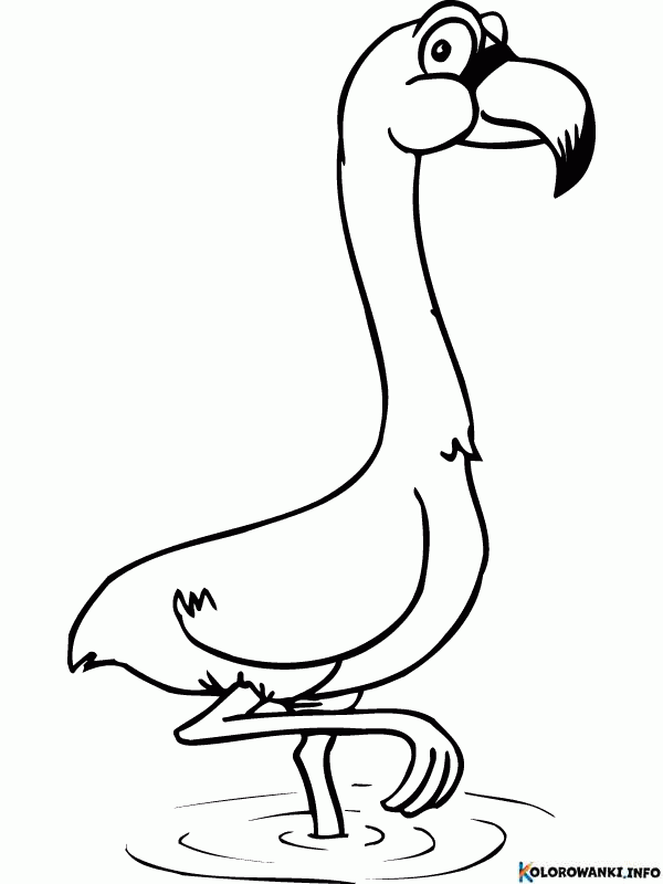 1683881888 460 Kolorowanki Flamingi do druku Pobierz lub wydrukuj za darmo