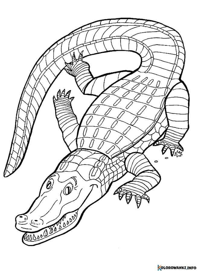 1683882619 66 Kolorowanki Gady do druku Pobierz lub wydrukuj za darmo