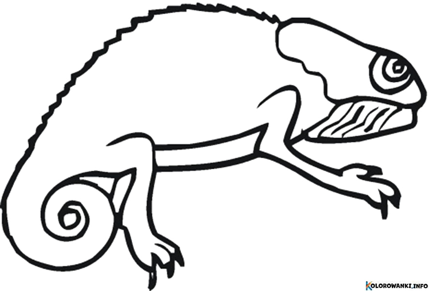 1683882619 744 Kolorowanki Gady do druku Pobierz lub wydrukuj za darmo