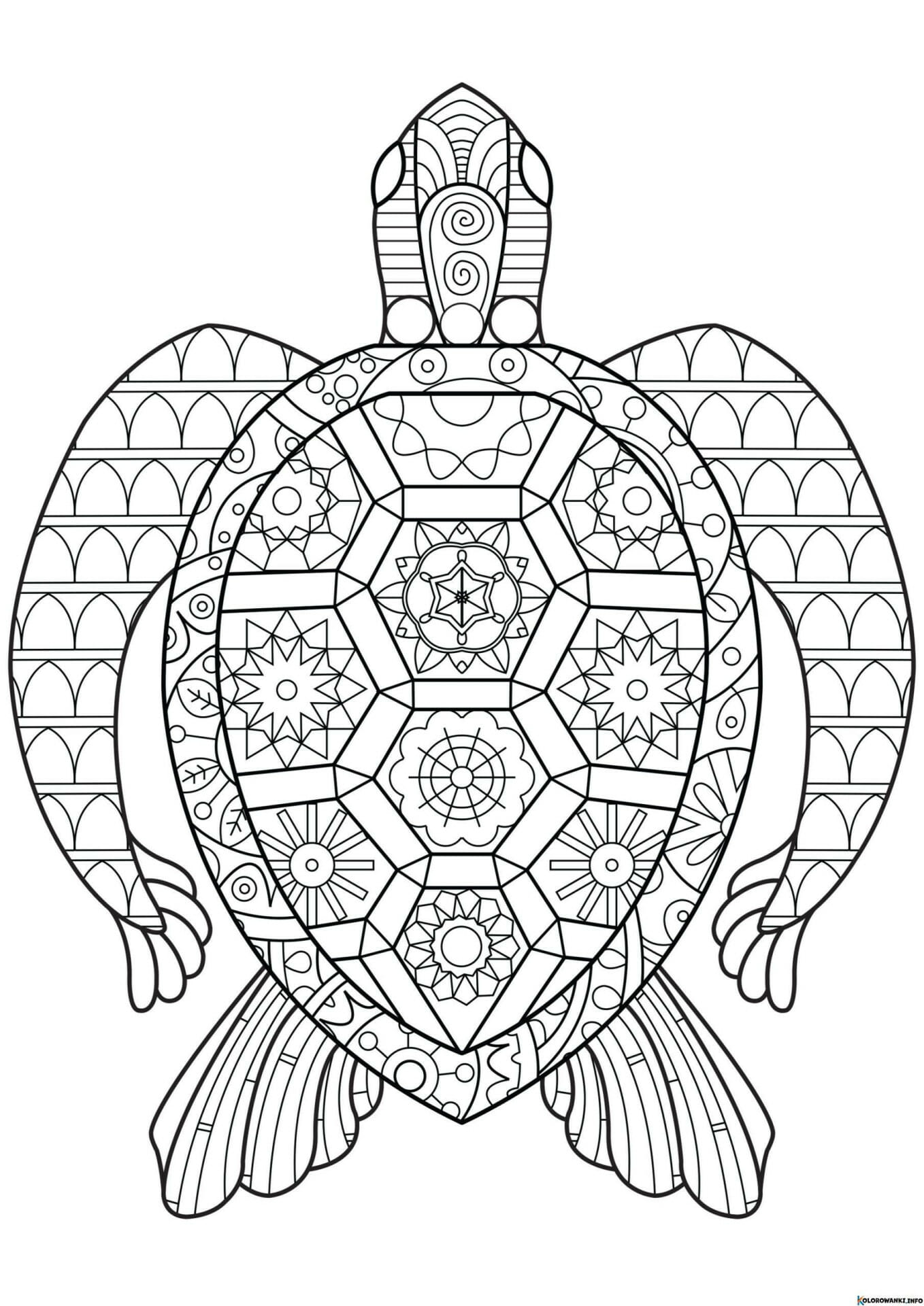 1683882619 810 Kolorowanki Gady do druku Pobierz lub wydrukuj za darmo scaled