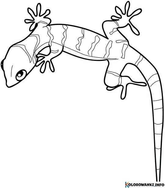 1683890337 370 Kolorowanki Gekony do druku Pobierz lub wydrukuj za darmo