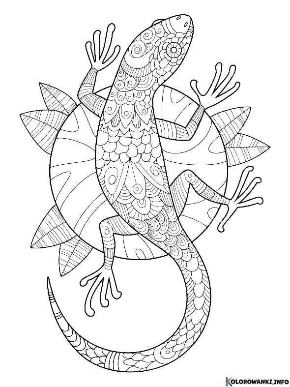 1683890338 400 Kolorowanki Gekony do druku Pobierz lub wydrukuj za darmo