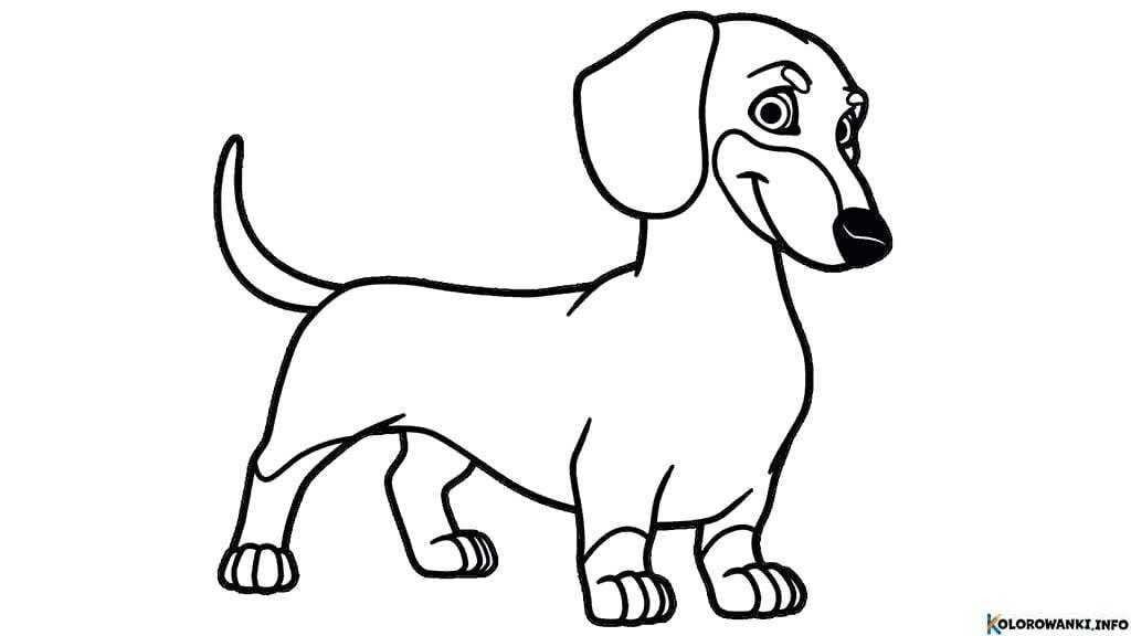1683987269 460 Kolorowanki Jamniki do druku Pobierz lub wydrukuj za darmo