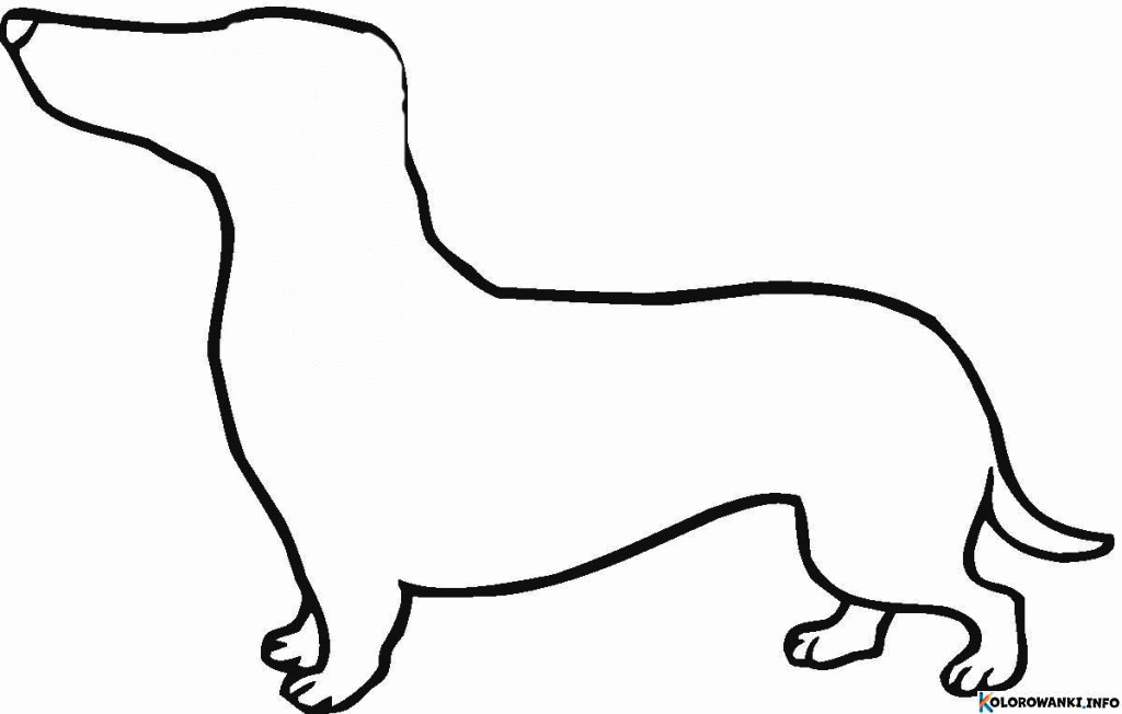 1683987269 645 Kolorowanki Jamniki do druku Pobierz lub wydrukuj za darmo