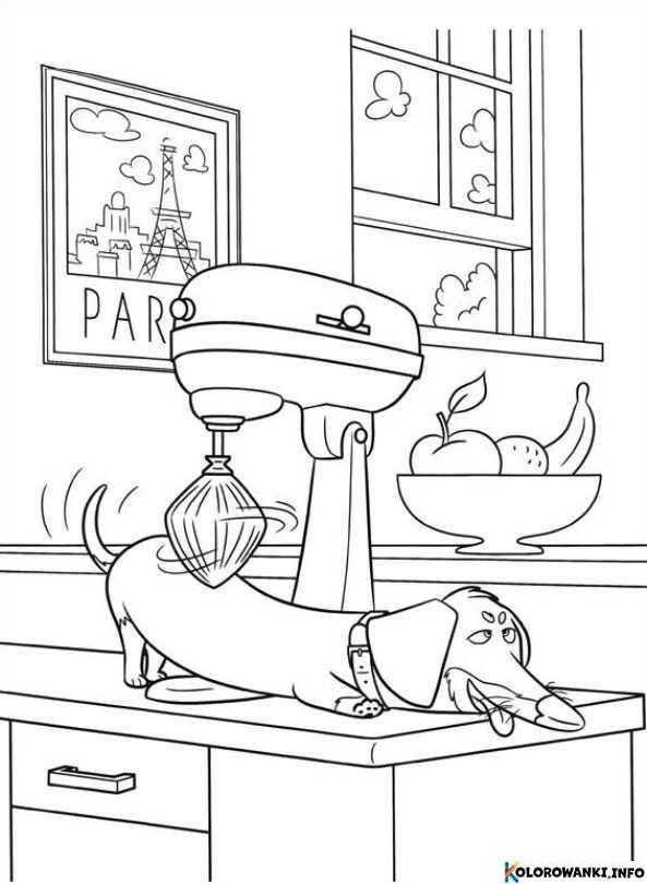 1683987269 786 Kolorowanki Jamniki do druku Pobierz lub wydrukuj za darmo