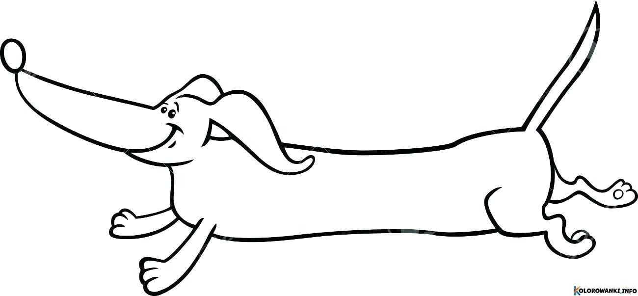 1683987269 893 Kolorowanki Jamniki do druku Pobierz lub wydrukuj za darmo