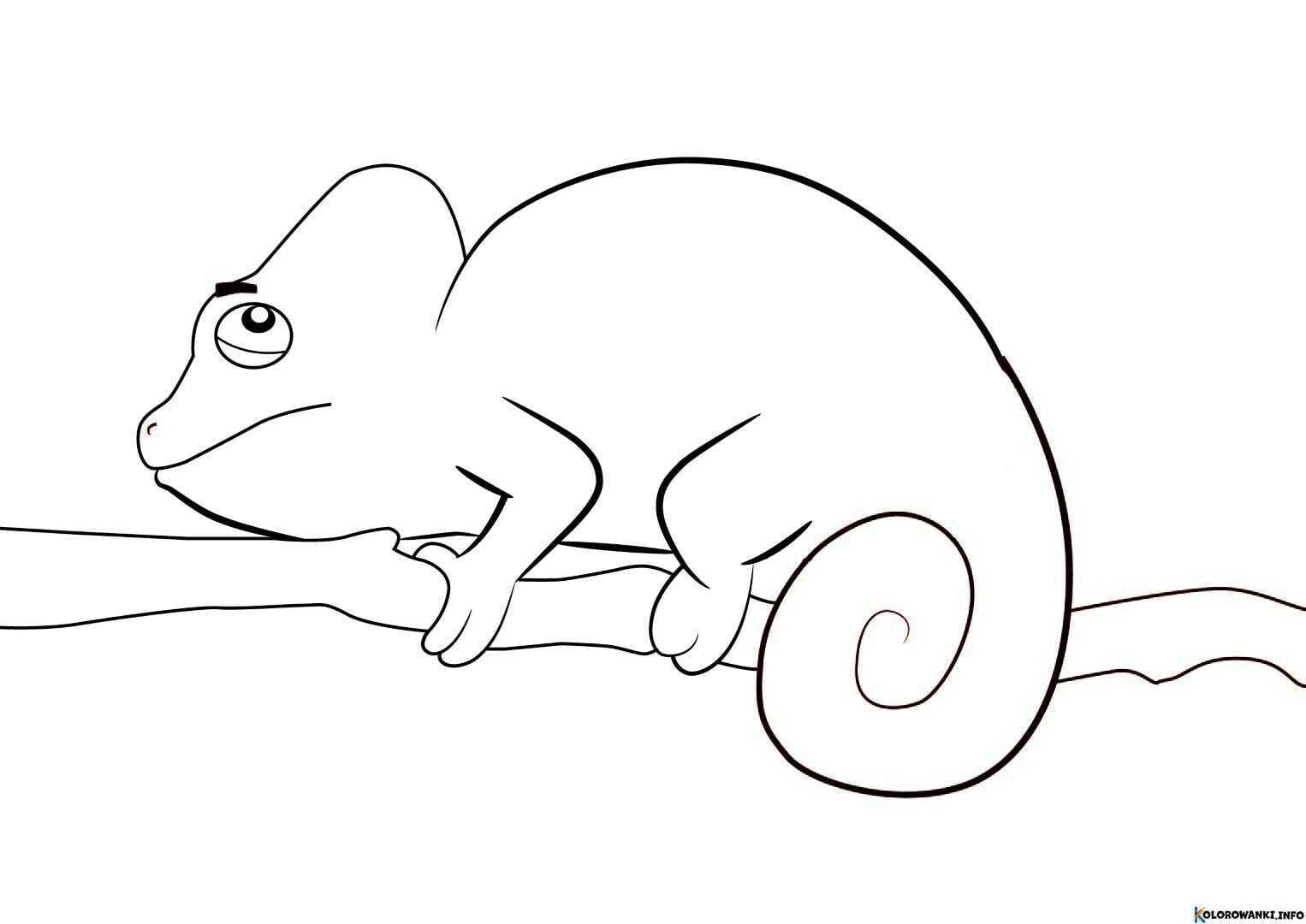 1684019486 524 Kolorowanki Kameleon do druku Pobierz lub wydrukuj za darmo