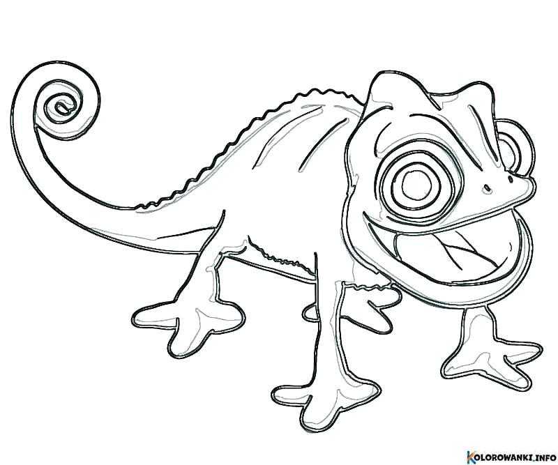 1684019487 794 Kolorowanki Kameleon do druku Pobierz lub wydrukuj za darmo