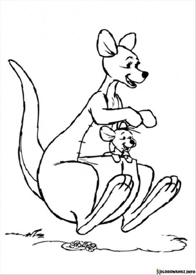 1684023433 367 Kolorowanki Kangur do druku Pobierz lub wydrukuj za darmo