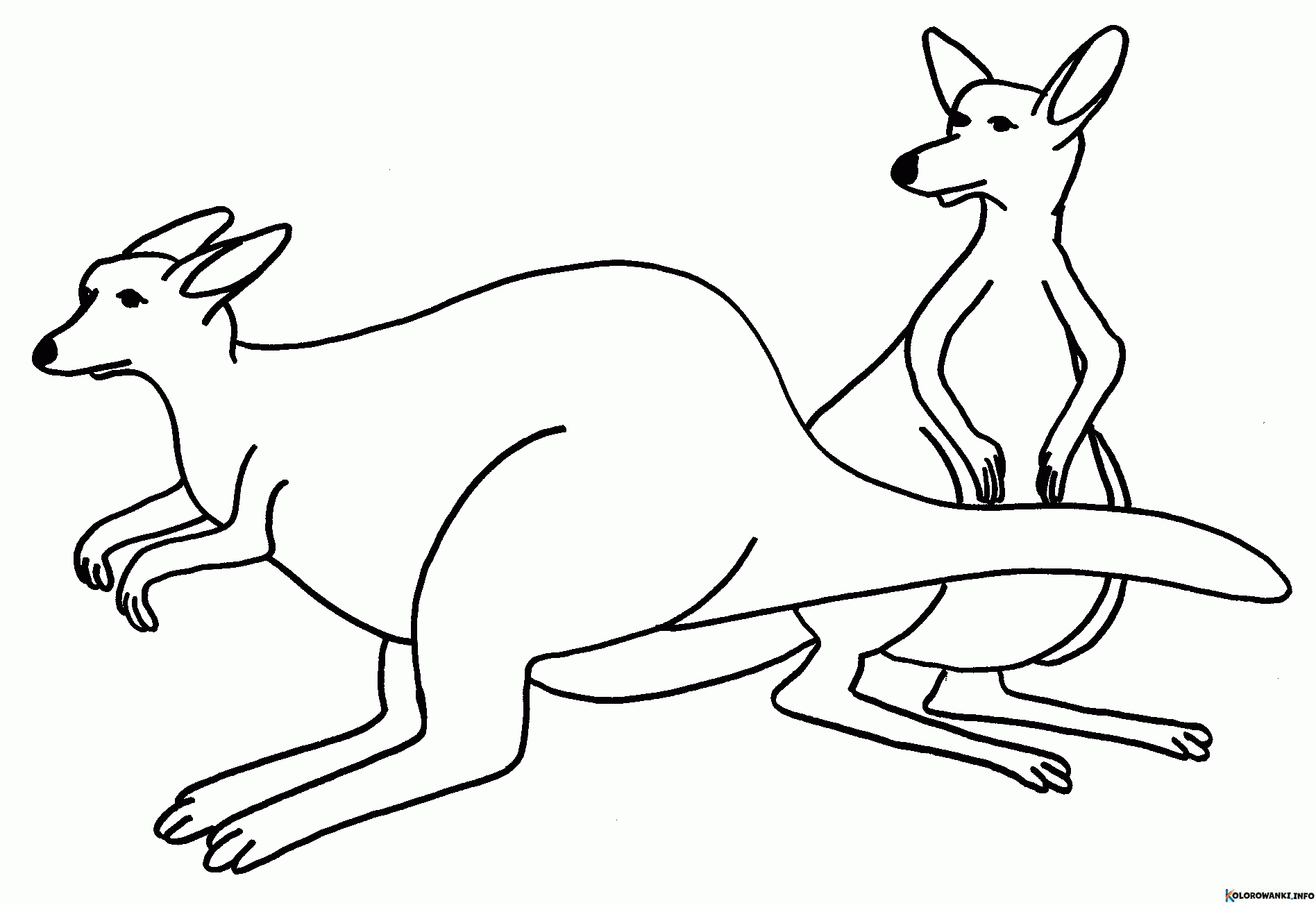 1684023434 309 Kolorowanki Kangur do druku Pobierz lub wydrukuj za darmo