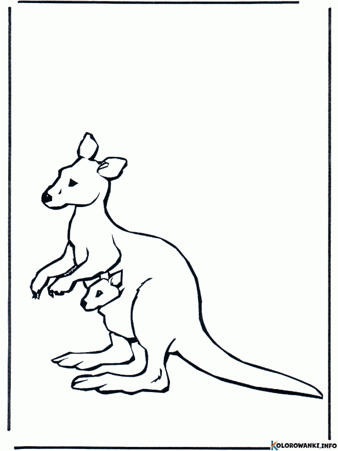 1684023434 890 Kolorowanki Kangur do druku Pobierz lub wydrukuj za darmo