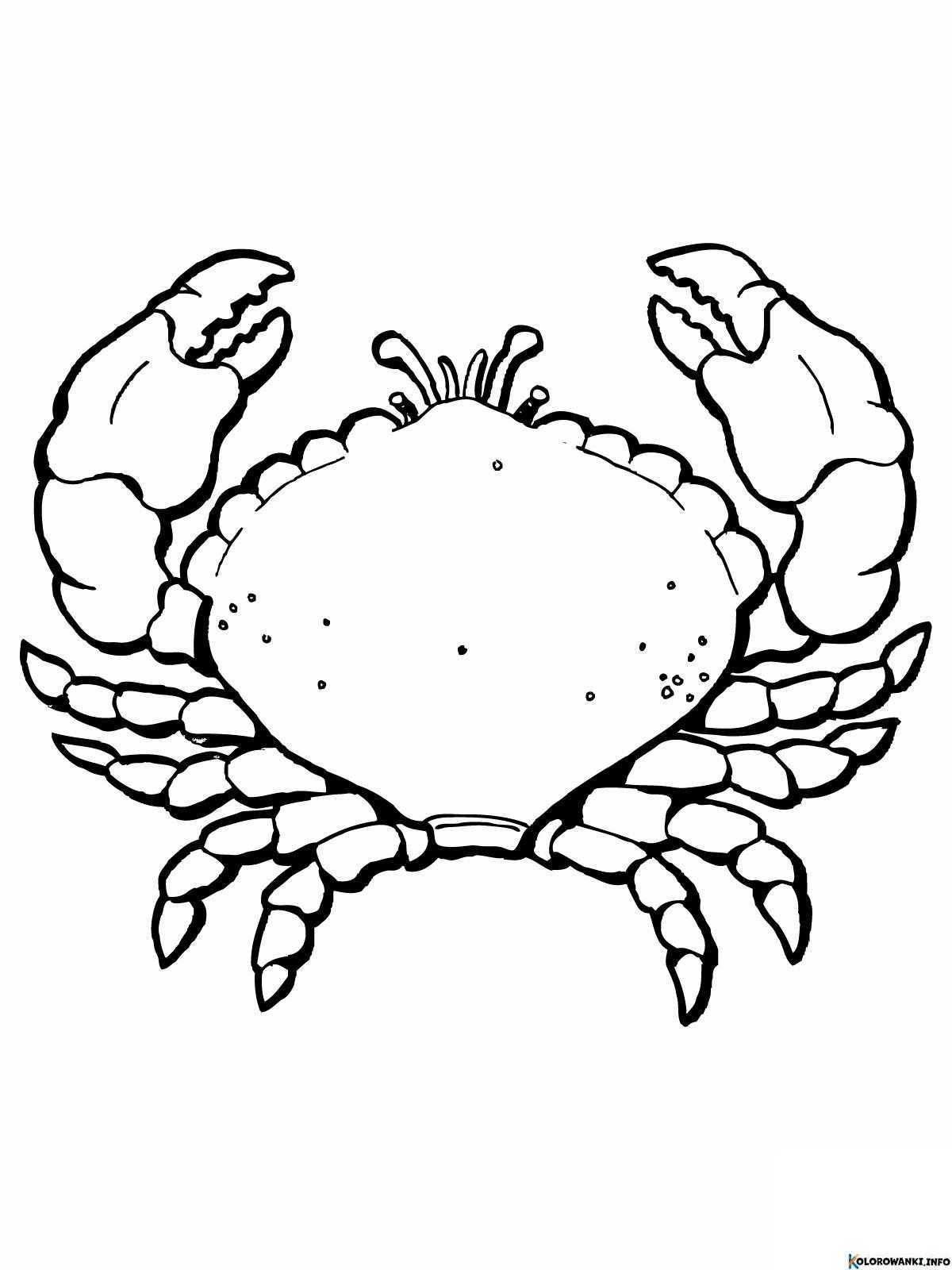 1684078707 799 Kolorowanki Krab do druku Pobierz lub wydrukuj za darmo