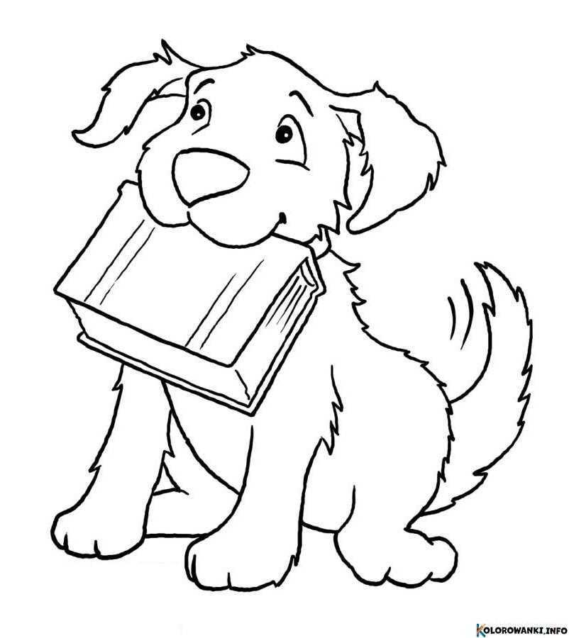 1684104968 487 Kolorowanki Ksiazki do druku Pobierz lub wydrukuj za darmo