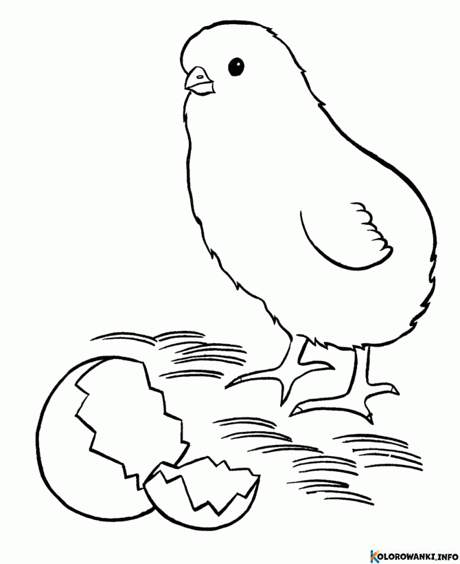 1684134103 232 Kolorowanki Kurczaczki do druku Pobierz lub wydrukuj za darmo
