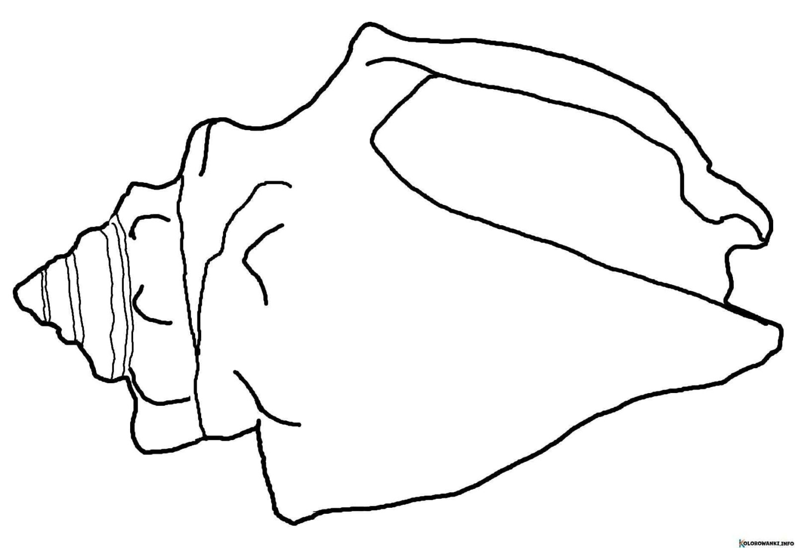 1684306364 83 Kolorowanki Muszle do druku Pobierz lub wydrukuj za darmo