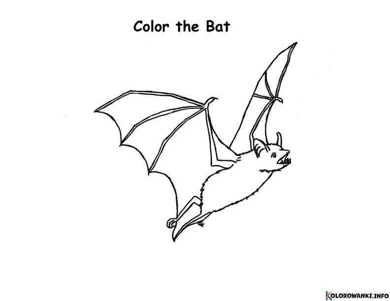 1684338096 305 Kolorowanki Nietoperz do druku Pobierz lub wydrukuj za darmo