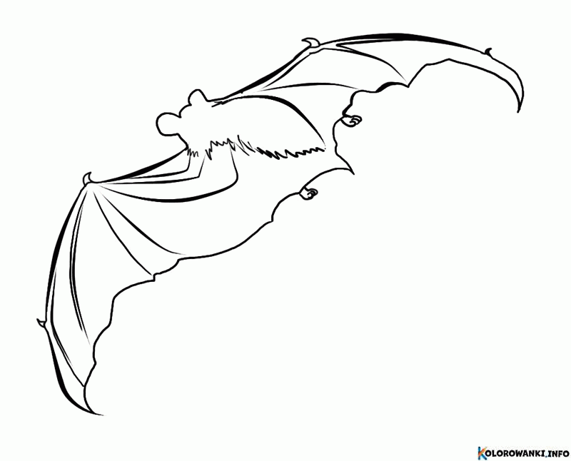 1684338096 342 Kolorowanki Nietoperz do druku Pobierz lub wydrukuj za darmo