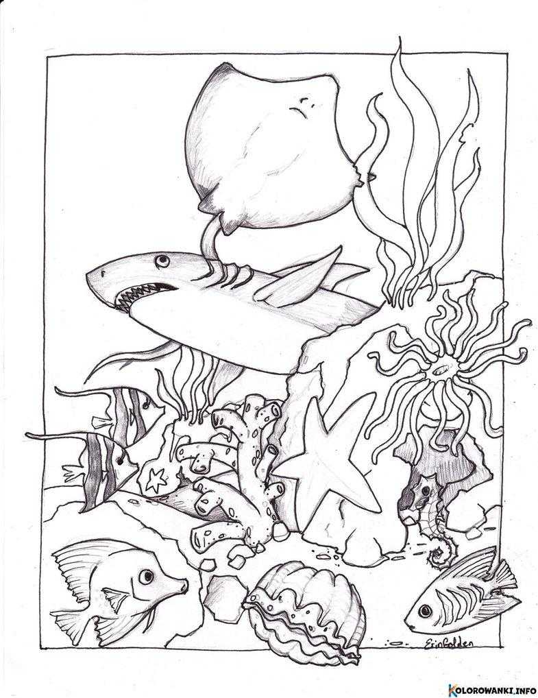 1684349263 452 Kolorowanki Ocean do druku Pobierz lub wydrukuj za darmo