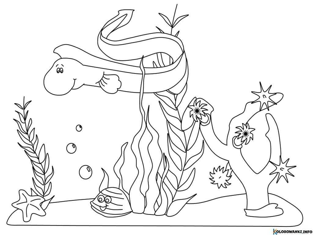 1684349264 876 Kolorowanki Ocean do druku Pobierz lub wydrukuj za darmo