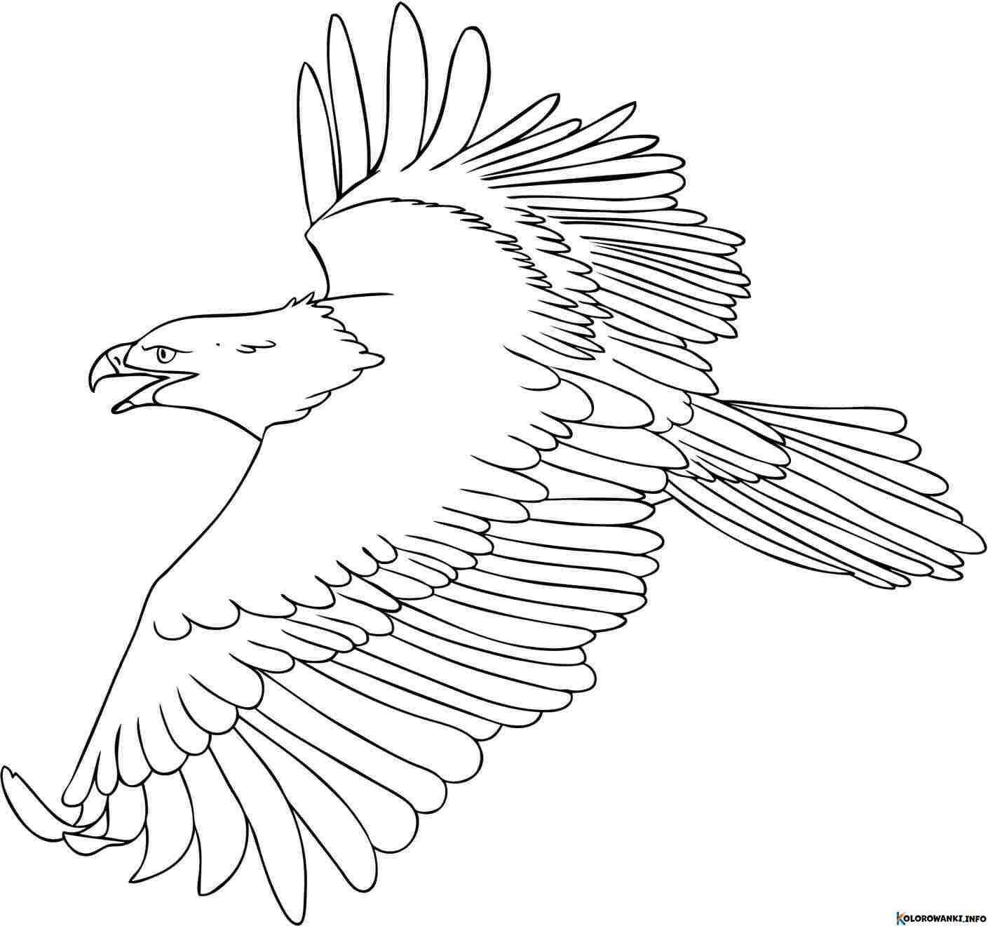 1684363011 59 Kolorowanki Orzel do druku Pobierz lub wydrukuj za darmo