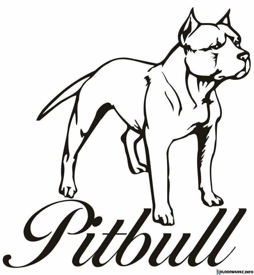 1684431155 612 Kolorowanki Pitbull do druku Pobierz lub wydrukuj za darmo