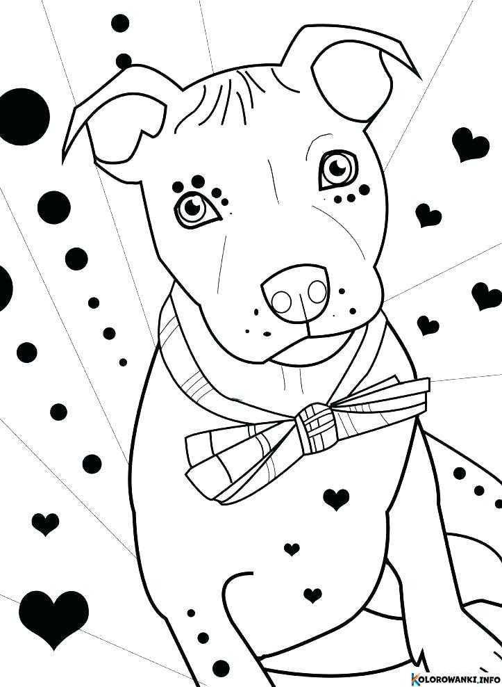 1684431156 241 Kolorowanki Pitbull do druku Pobierz lub wydrukuj za darmo