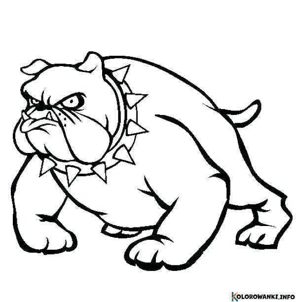 1684431156 867 Kolorowanki Pitbull do druku Pobierz lub wydrukuj za darmo