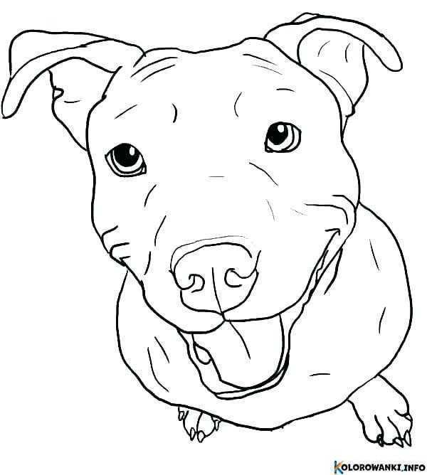 1684431156 911 Kolorowanki Pitbull do druku Pobierz lub wydrukuj za darmo