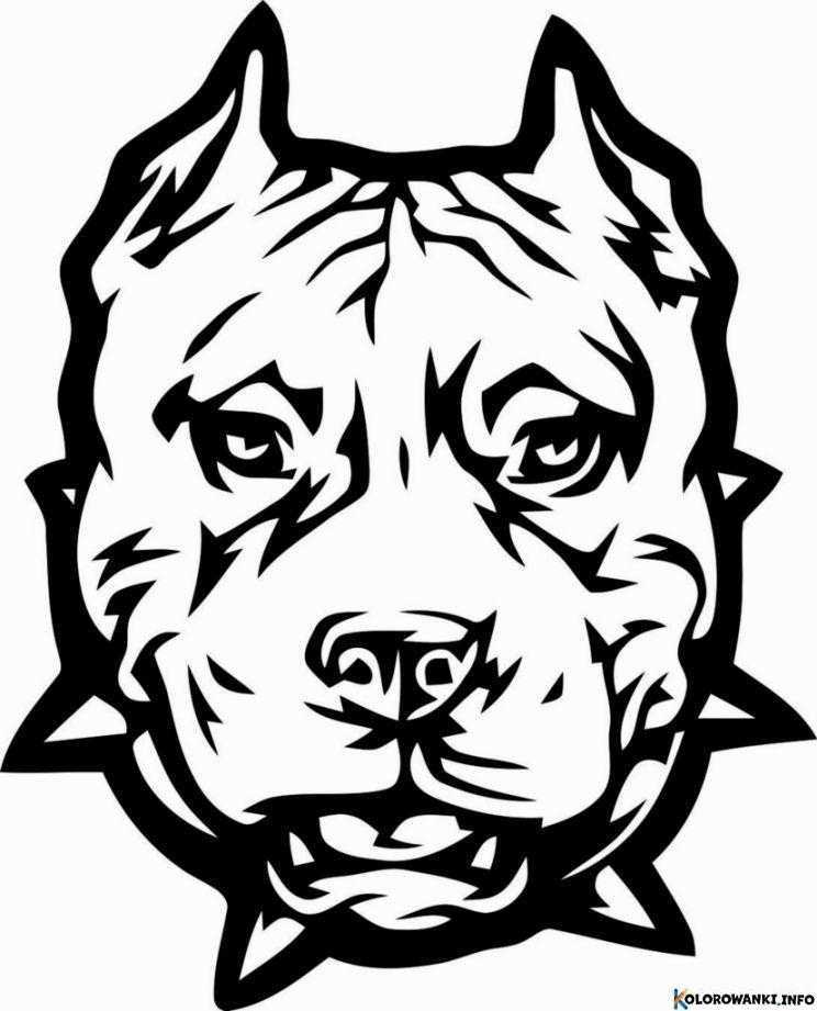 1684431157 233 Kolorowanki Pitbull do druku Pobierz lub wydrukuj za darmo