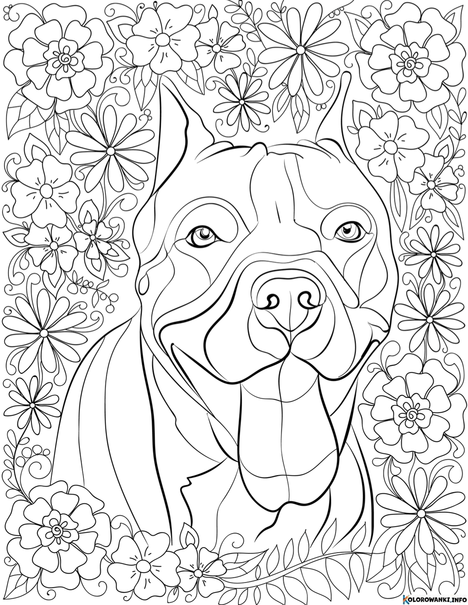 1684431158 355 Kolorowanki Pitbull do druku Pobierz lub wydrukuj za darmo