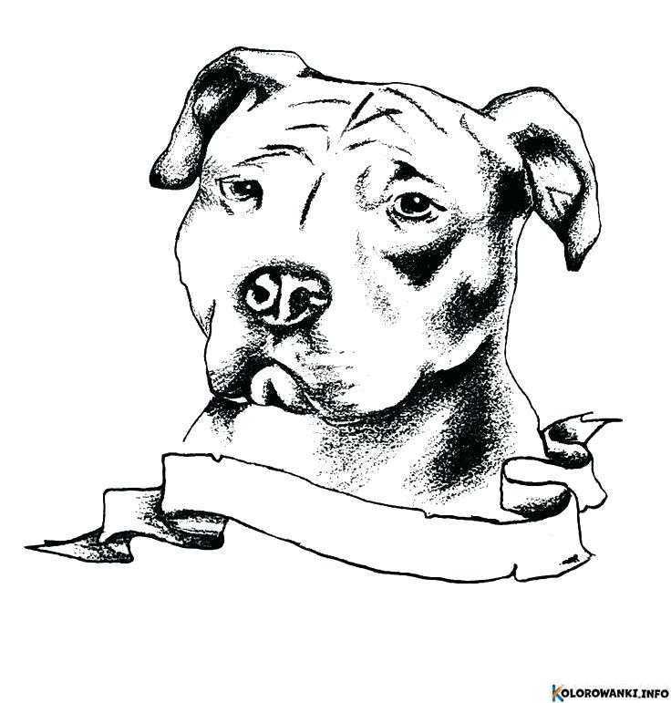 1684431158 777 Kolorowanki Pitbull do druku Pobierz lub wydrukuj za darmo