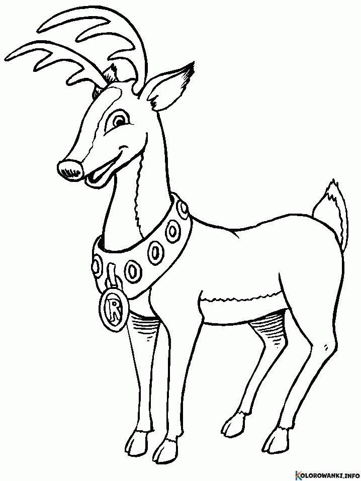 1684506887 470 Kolorowanki Renifery do druku Pobierz lub wydrukuj za darmo