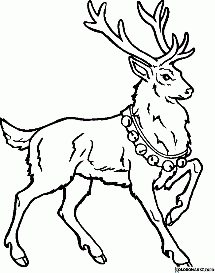 1684506887 699 Kolorowanki Renifery do druku Pobierz lub wydrukuj za darmo