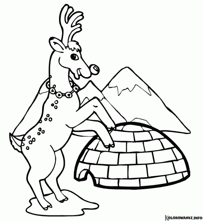 1684506887 756 Kolorowanki Renifery do druku Pobierz lub wydrukuj za darmo