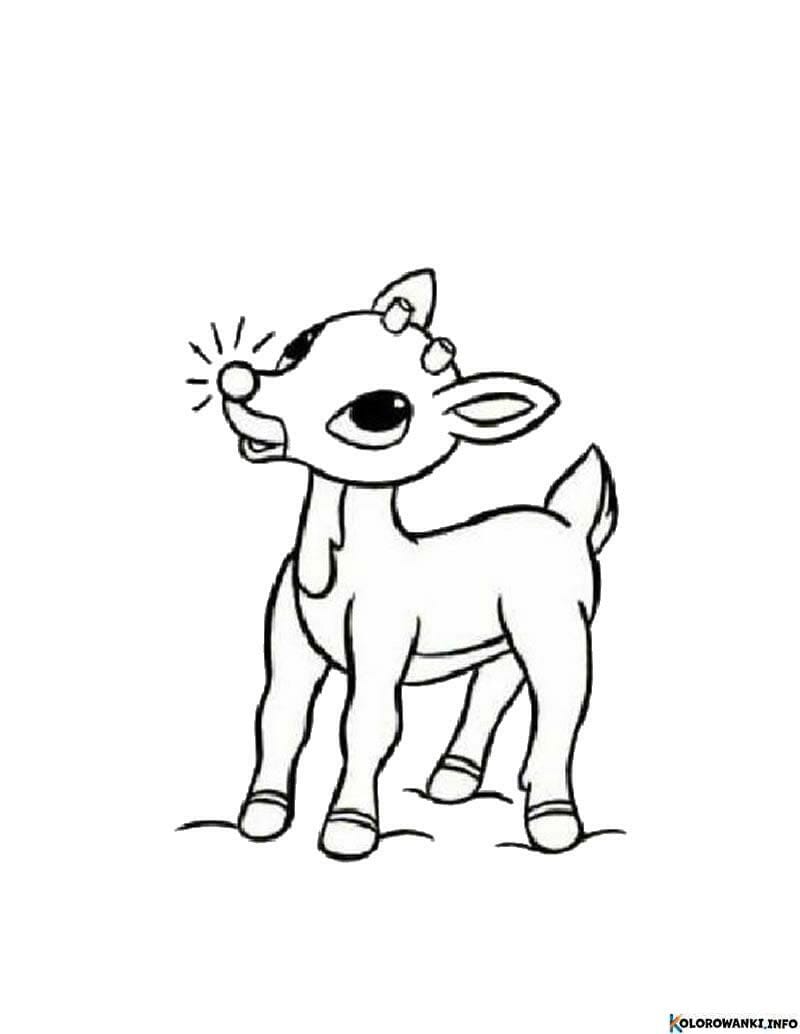 1684506888 889 Kolorowanki Renifery do druku Pobierz lub wydrukuj za darmo