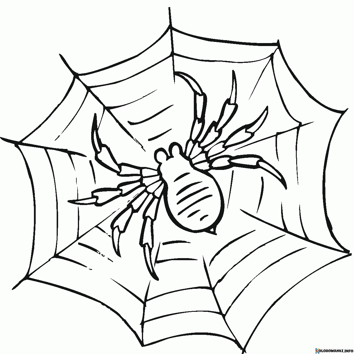 1684553877 175 Kolorowanki Siec pajecza do druku Pobierz lub wydrukuj za