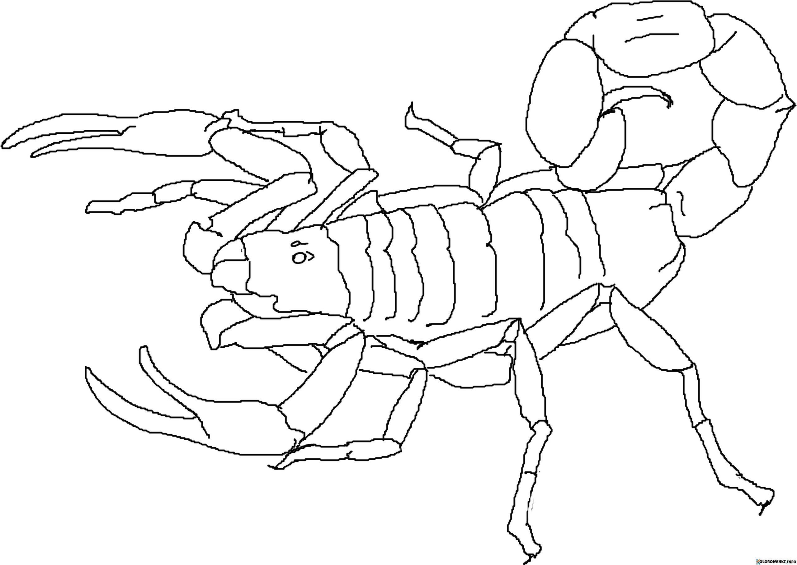 1684563281 763 Kolorowanki Skorpiony do druku Pobierz lub wydrukuj za darmo scaled
