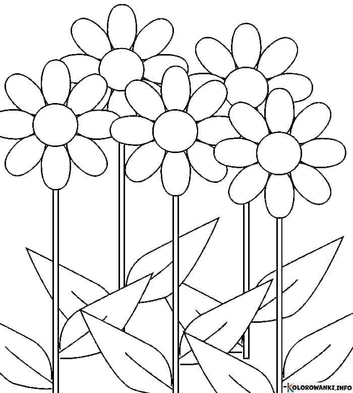 1684617983 342 Kolorowanki Stokrotka do druku Pobierz lub wydrukuj za darmo