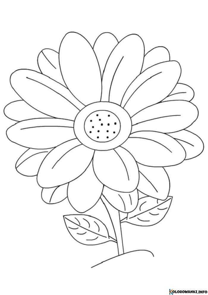 1684617983 426 Kolorowanki Stokrotka do druku Pobierz lub wydrukuj za darmo