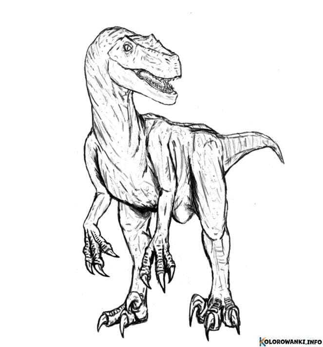 1684856030 48 Kolorowanki Welociraptor do druku Pobierz lub wydrukuj za darmo